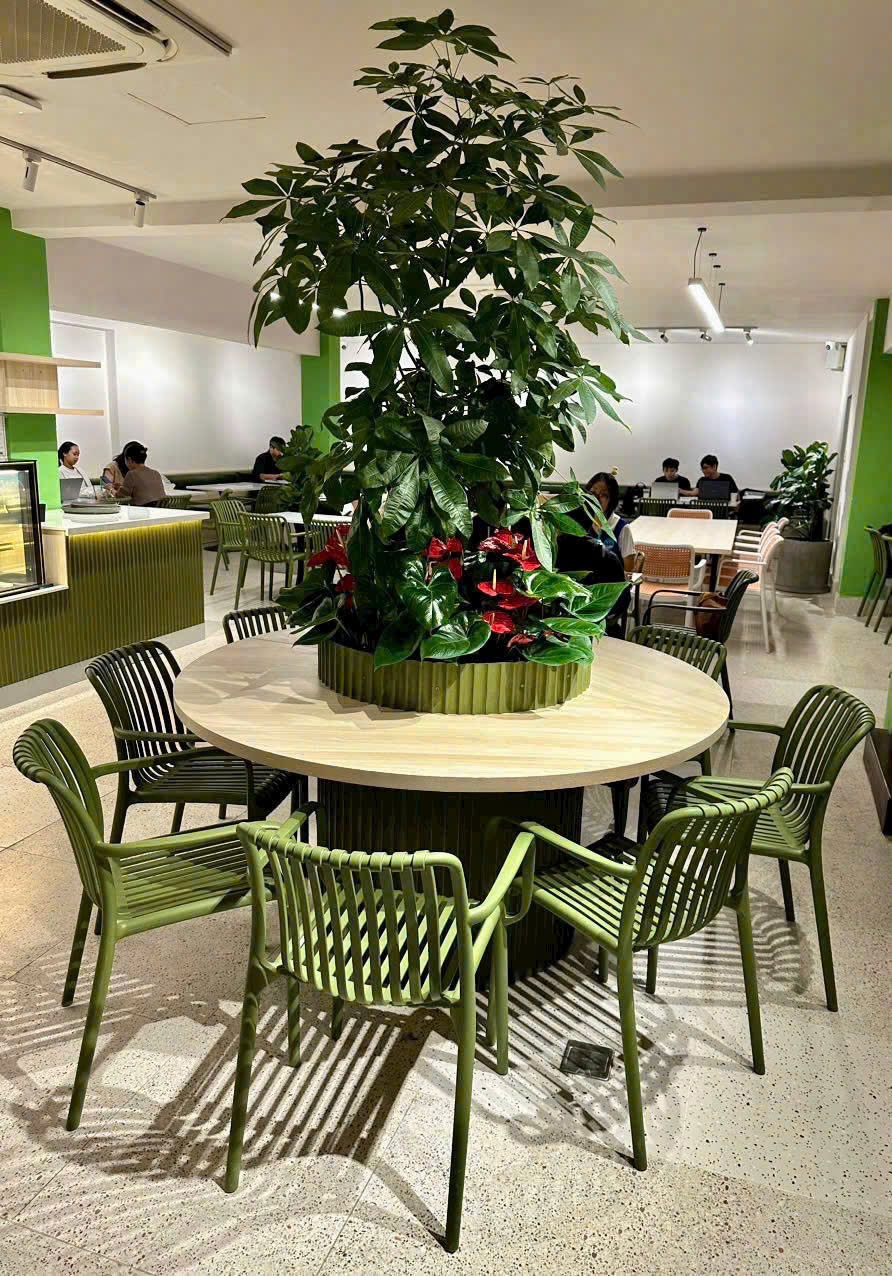 Ghế Nhựa Đúc Cao Cấp: Giải Pháp Bền Đẹp Thách Thức Thời Tiết Cho Quán Cafe & Sân Vườn