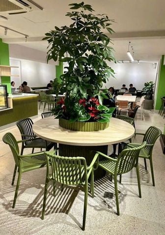 Ghế Nhựa Đúc Cao Cấp: Giải Pháp Bền Đẹp Thách Thức Thời Tiết Cho Quán Cafe & Sân Vườn