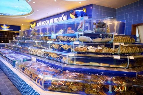 Chuyên viên Kinh doanh