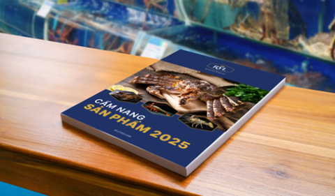 Phó Tổng Giám Đốc Điều Hành