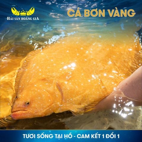 CÁ BƠN HÀN QUỐC: GIÁ TRỊ DINH DƯỠNG VÀ LỢI ÍCH SỨC KHỎE BẠN NÊN BIẾT