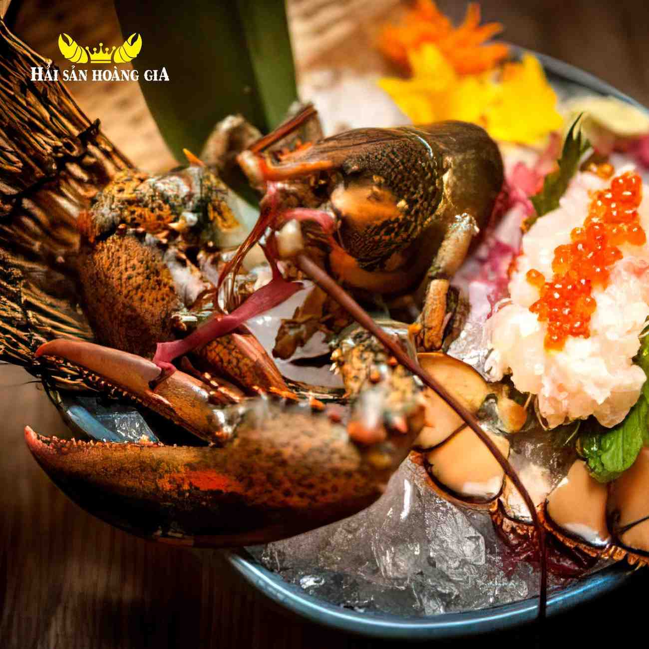 Tôm hùm canada sashimi