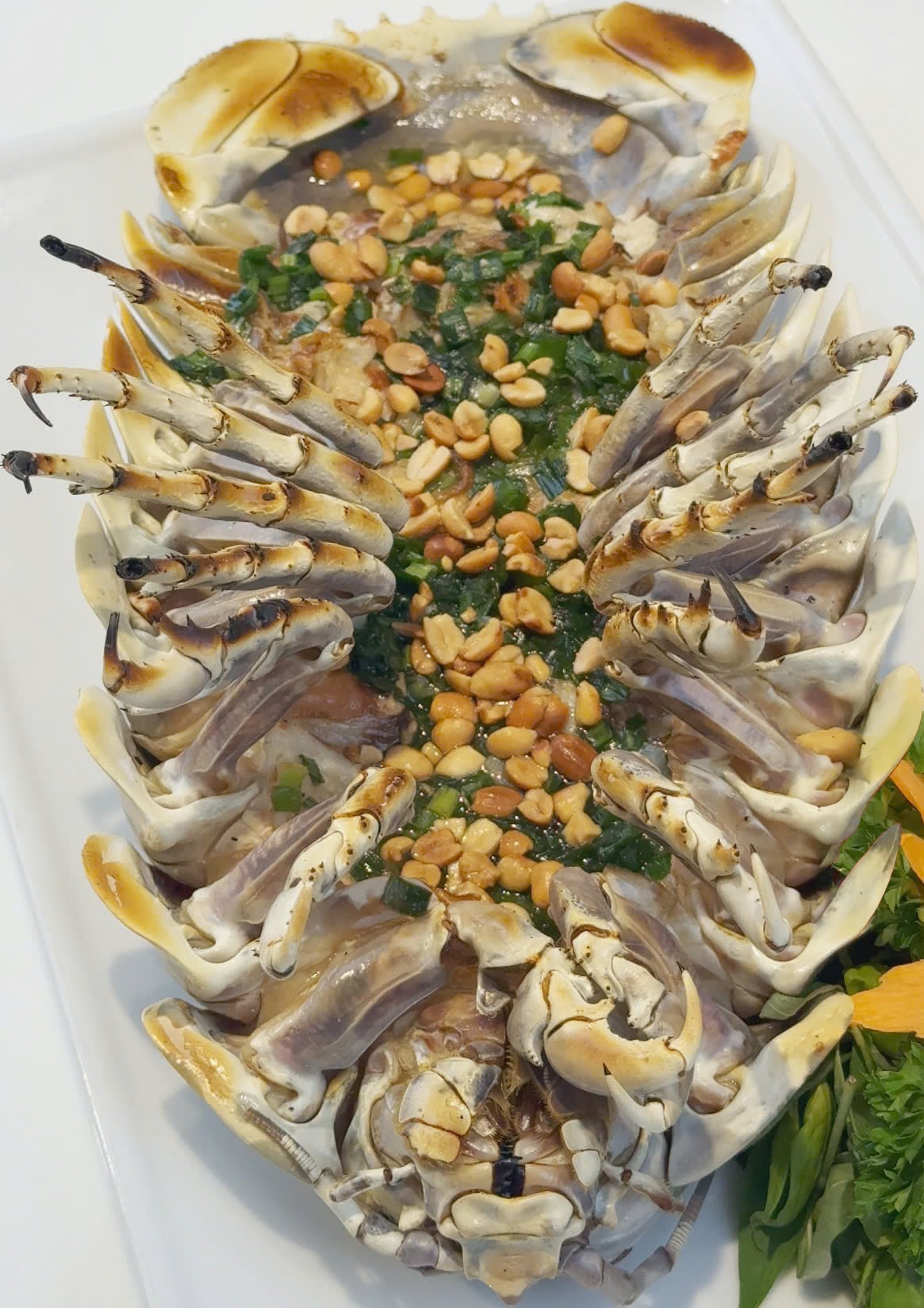 bọ biển nướng mỡ hành