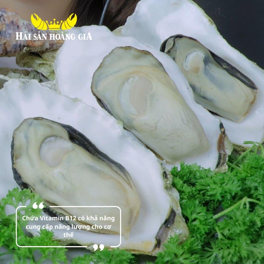 Hàu Giống Pháp Sống Con