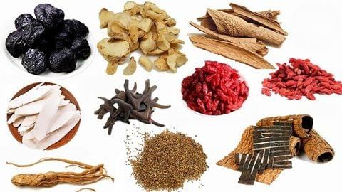 Hữu quy hoàn: Công dụng, cách dùng và lưu ý theo YHCT