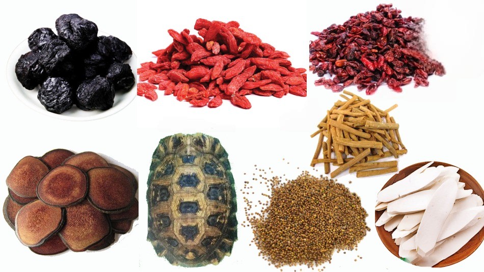 Tả Quy Hoàn: Bài Thuốc Bổ Thận Âm, Dưỡng Tinh Huyết, Sinh Tủy Kiện Cốt