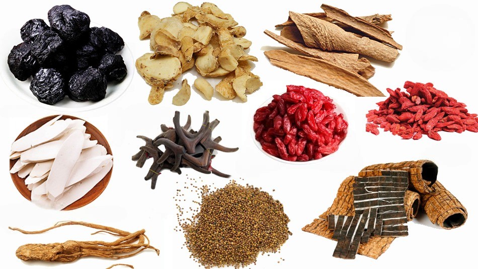 Hữu Quy Hoàn: Bài Thuốc Bổ Thận Dương, Cố Tinh, Ôn Thận Dưỡng Nguyên