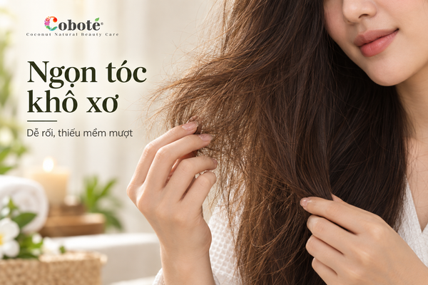 Ngọn tóc khô xơ