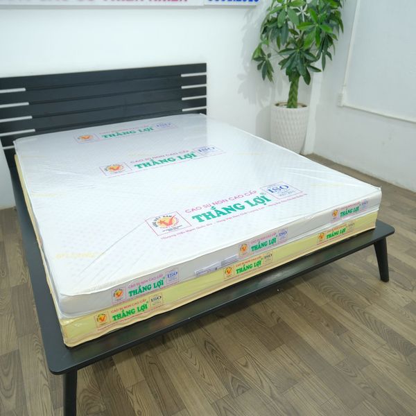 Nệm cao su non cao cấp Thắng Lợi mẫu mới