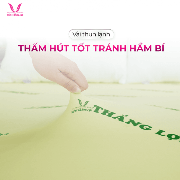 Áo nệm thun lạnh thấm hút mồ hôi