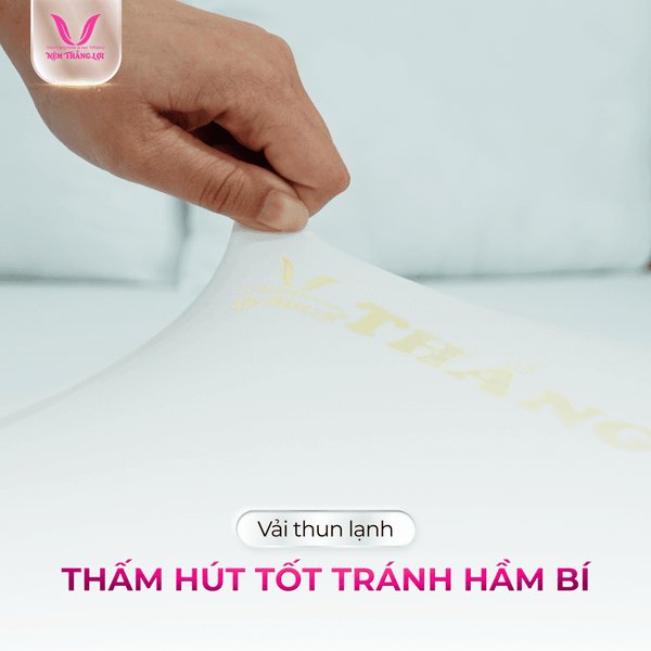 Áo nệm thun lạnh mềm mại