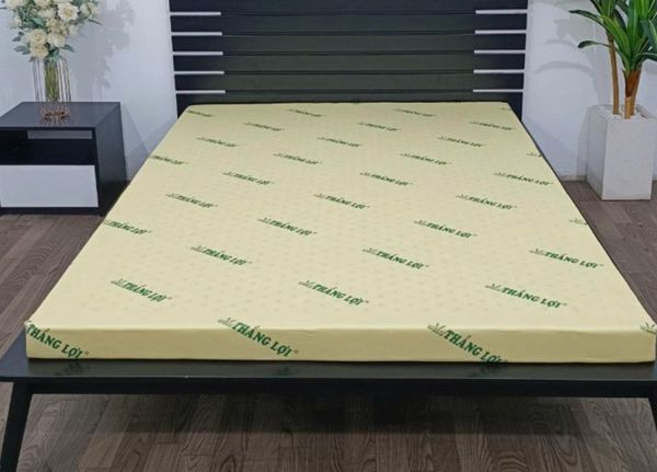 Logo nệm Thắng Lợi và chứng nhận chất lượng