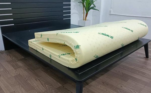 Nệm cao su non Thắng Lợi chính hãng mẫu mới nhất
