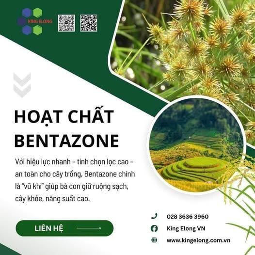 Bentazone – Giải Pháp Giữ Ruộng Sạch, Cây Trồng Khỏe Mạnh Ngay Từ Đầu Vụ