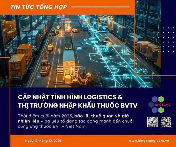 Cập Nhật Tình Hình Logistics & Thị Trường Nhập Khẩu Thuốc BVTV