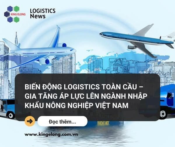 Biến Động Logistics Toàn Cầu – Gia Tăng Áp Lực Lên Ngành Nhập Khẩu Nông Nghiệp Việt Nam