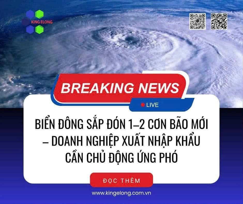 Biển Đông Sắp Đón 1–2 Cơn Bão Mới – Doanh Nghiệp Xuất Nhập Khẩu Cần Chủ Động Ứng Phó