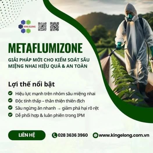Metaflumizone – Giải Pháp Mới Cho Kiểm Soát Sâu Miệng Nhai Hiệu Quả & An Toàn