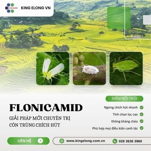 Flonicamid – Hoạt Chất Thế Hệ Mới Chuyên Trị Côn Trùng Chích Hút
