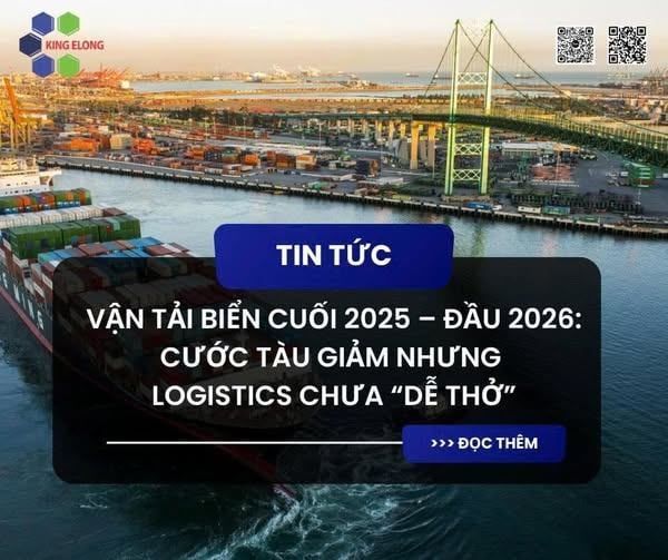 Vận Tải Biển Cuối 2025 – Đầu 2026: Cước Tàu Giảm Nhưng Logistics Chưa “Dễ Thở”