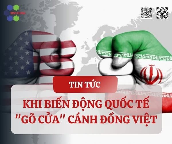 Góc Nhìn Thị Trường: Khi Biến Động Quốc Tế 