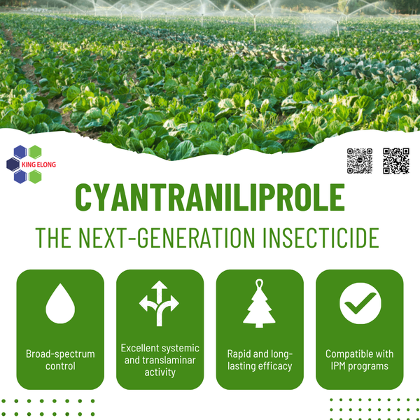 🔍 Cyantraniliprole – A Next-Generation Insecticide With Broad-Spectrum Control