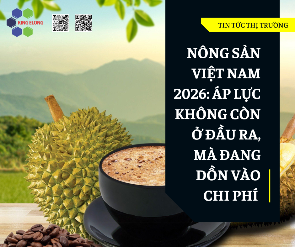 Nông Sản Việt Nam 2026: Áp Lực Không Còn Ở Đầu Ra, Mà Đang Dồn Vào Chi Phí