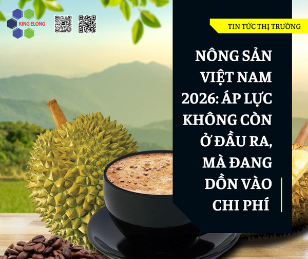 Nông Sản Việt Nam 2026: Áp Lực Không Còn Ở Đầu Ra, Mà Đang Dồn Vào Chi Phí