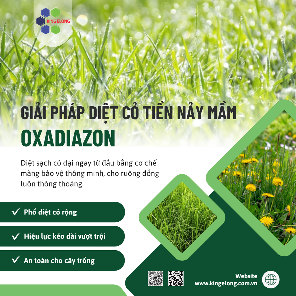 🌱 Oxadiazon – Giải Pháp Diệt Cỏ Tiền Nảy Mầm 🌱
