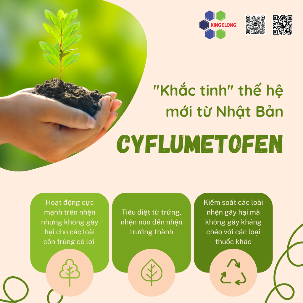 Đừng Để Nhện Đỏ 