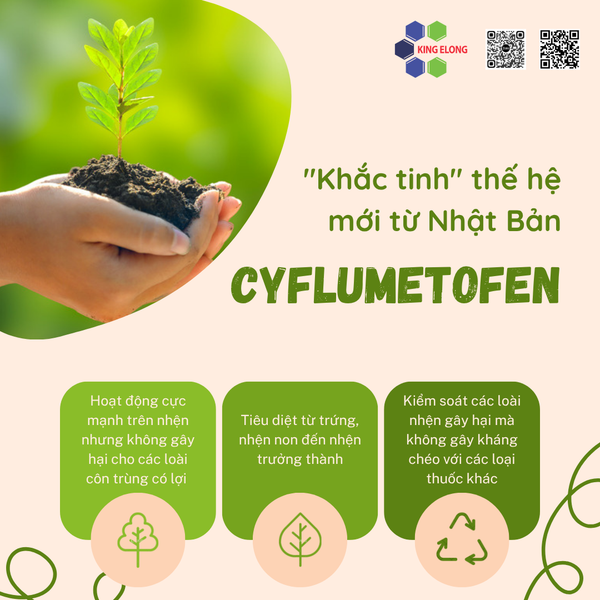 Đừng Để Nhện Đỏ 