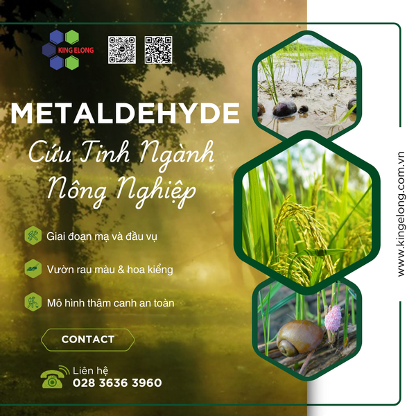 🐌 Metaldehyde: Từ Sự Tình Cờ Đến 