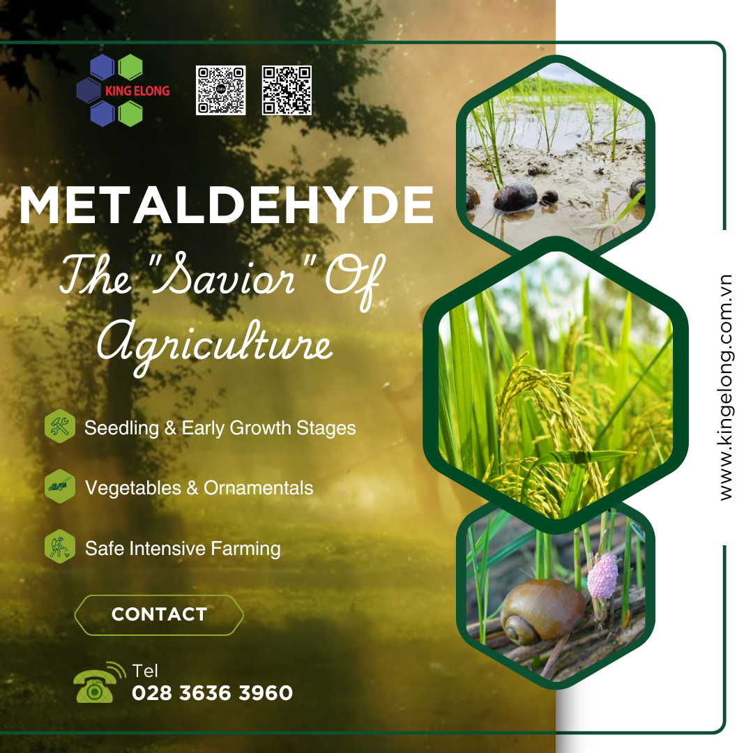 Mataldehyde Metaldehyde: From A Chance Discovery To The
