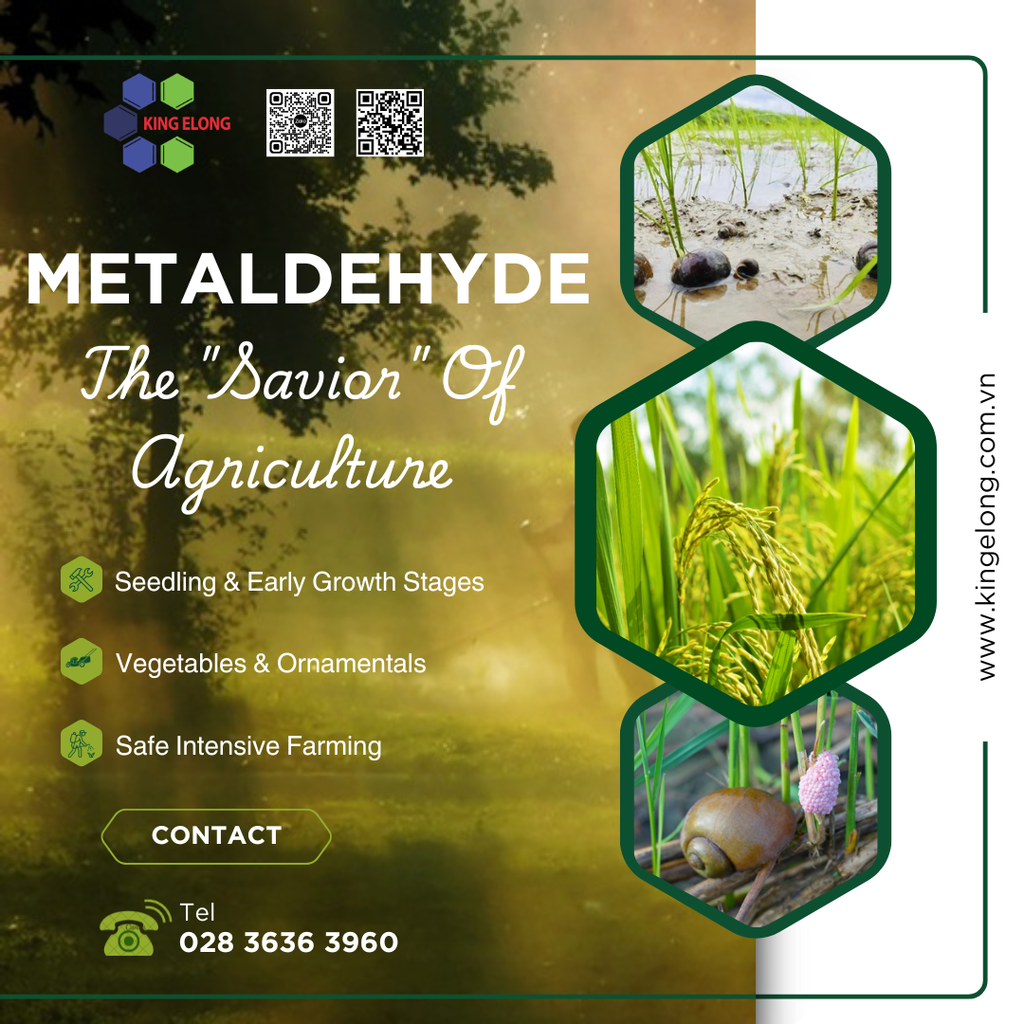 🐌 Metaldehyde: From A Chance Discovery To The 