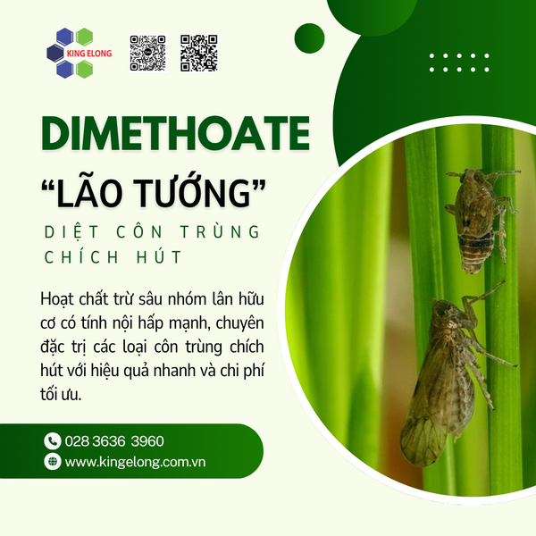 🛡️ Dimethoate: 