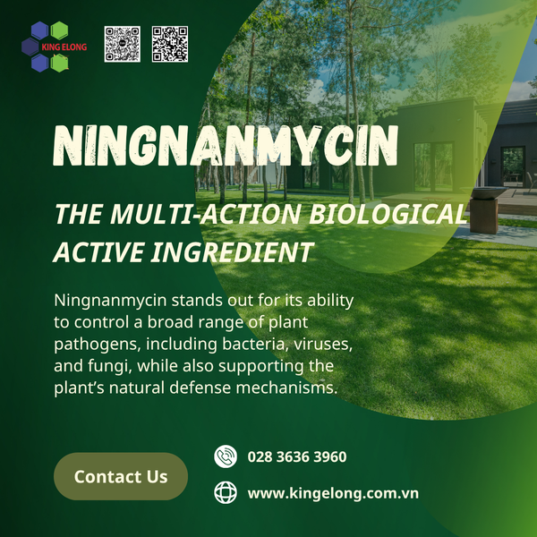 🌿 Ningnanmycin – A Biological Agricultural Antibiotic For Crop Disease Management