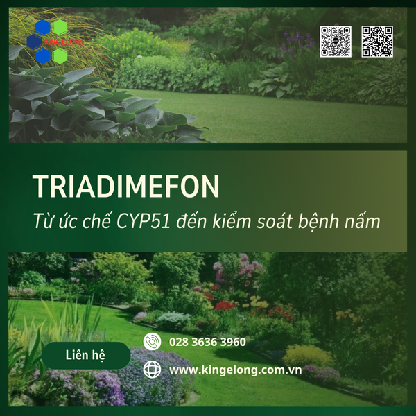 🍃 Triadimefon – Từ Ức Chế CYP51 Đến Kiểm Soát Bệnh Nấm