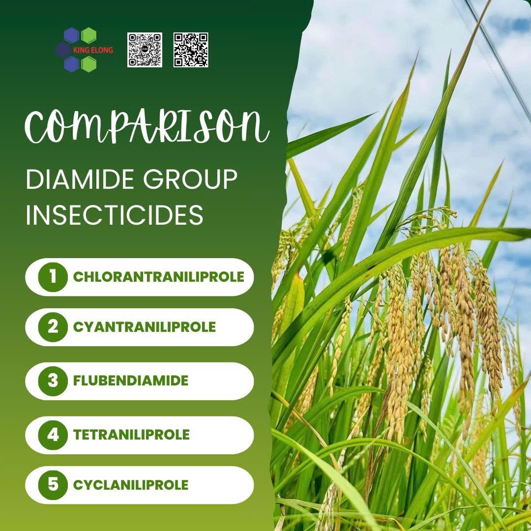 Comparison Of Diamide Insecticides – Kingelong Việt Nam