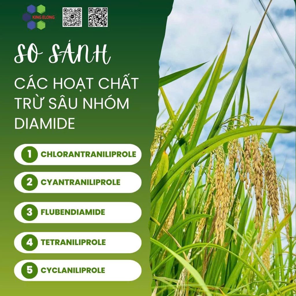 So Sánh Các Hoạt Chất Trừ Sâu Nhóm Diamide