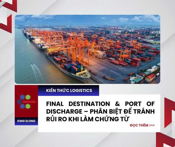 Final Destination & Port Of Discharge – Hiểu Đúng Để Tránh Mất Tiền Oan!