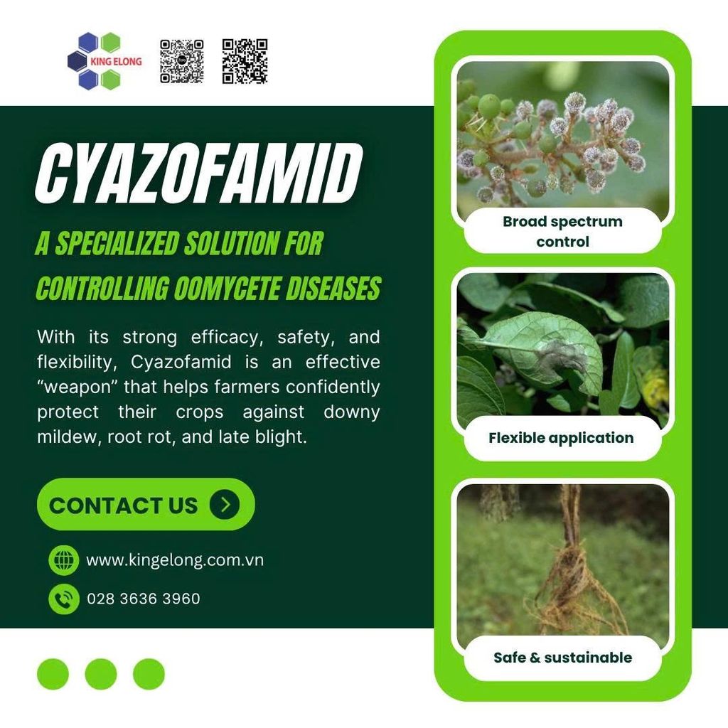 Cyazofamid – A Specialized Solution For Controlling Oomycete Diseases