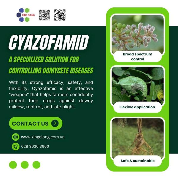 Cyazofamid – A Specialized Solution For Controlling Oomycete Diseases