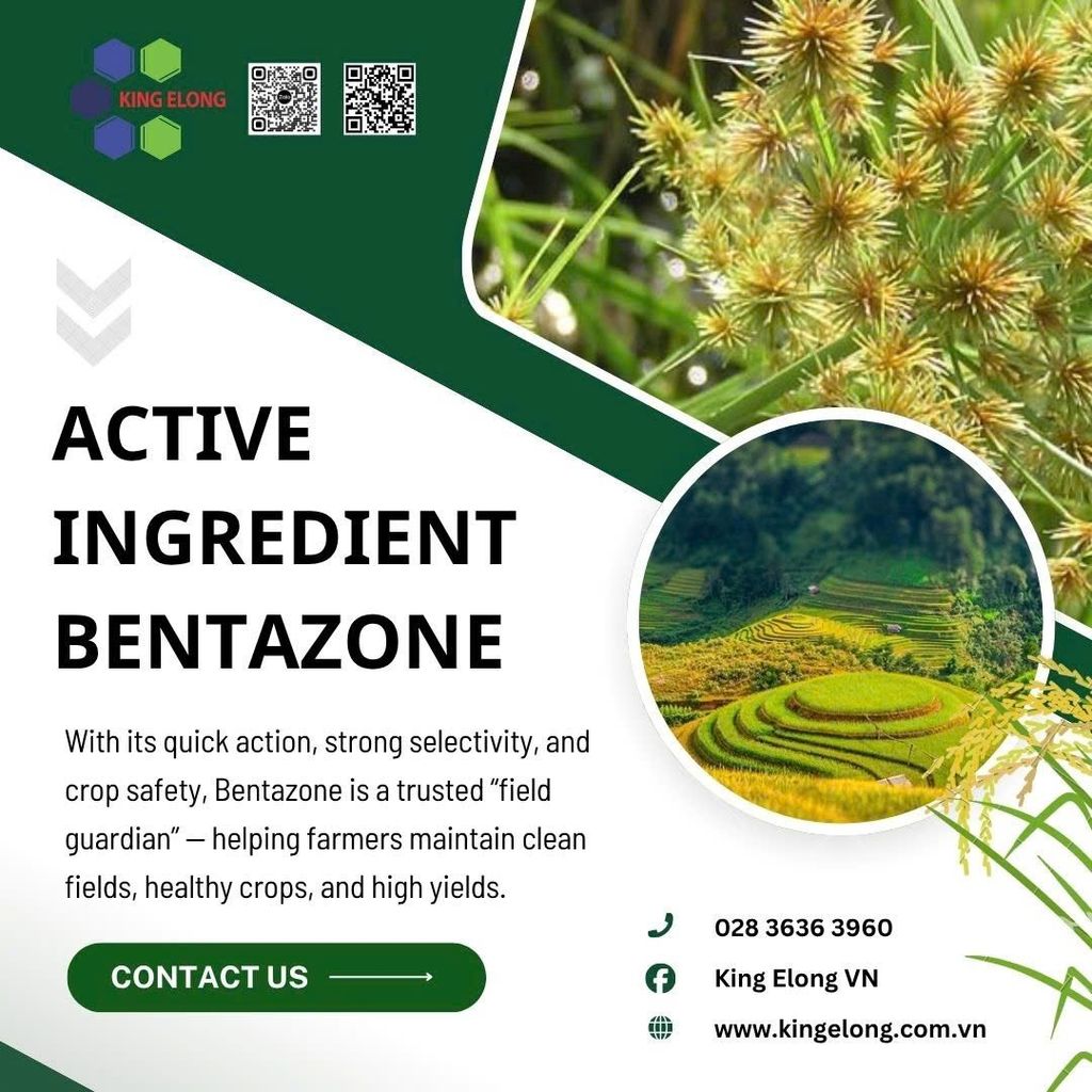 Bentazone – Keep Your Fields Clean And Crops Healthy From The Start
