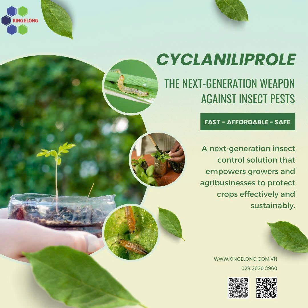 Pi Pressedo Insecticide Cyclaniliprole – The Next-Generation Weapon Against Insect Pests ...