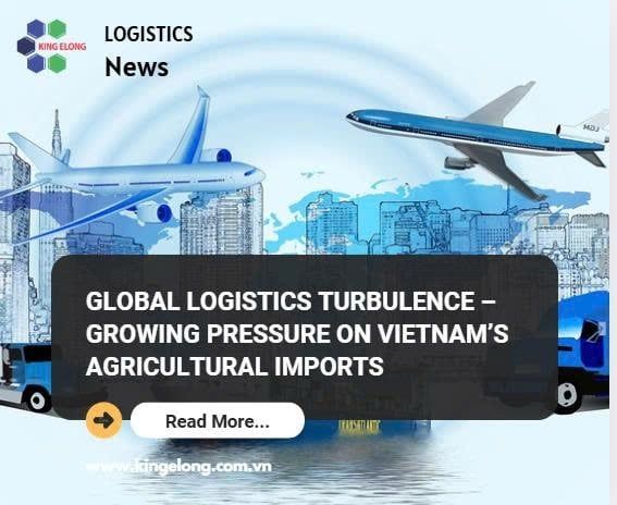 Global Logistics Turbulence – Growing Pressure On Vietnam’s Agricultural Imports