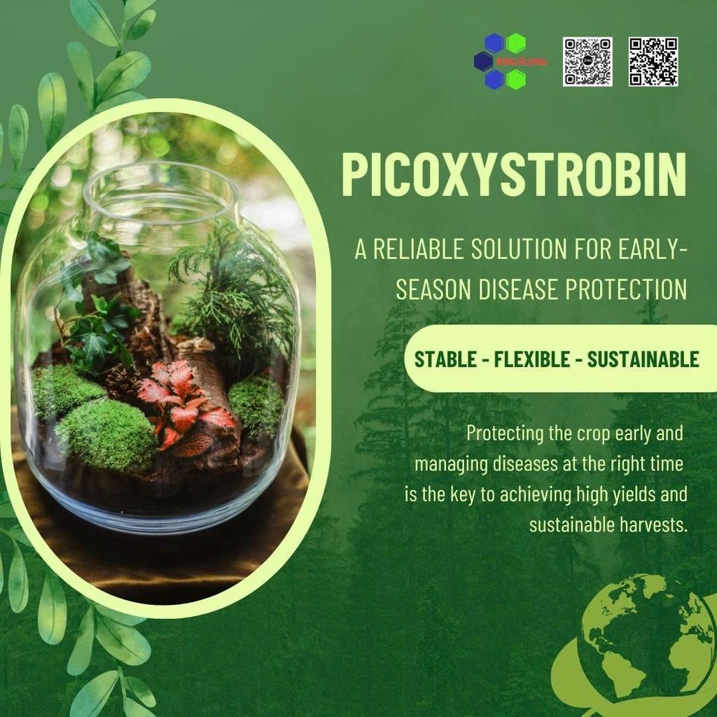 Picoxystrobin – A Reliable Solution For Early-Season Disease Protection