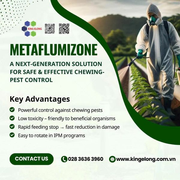 Metaflumizone – A Next-Generation Solution For Safe & Effective Chewing-Pest Control