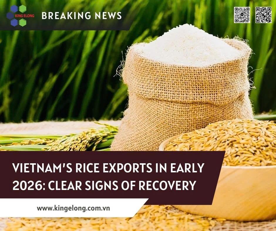 Vietnam’s Rice Exports In Early 2026: Clear Signs Of Recovery