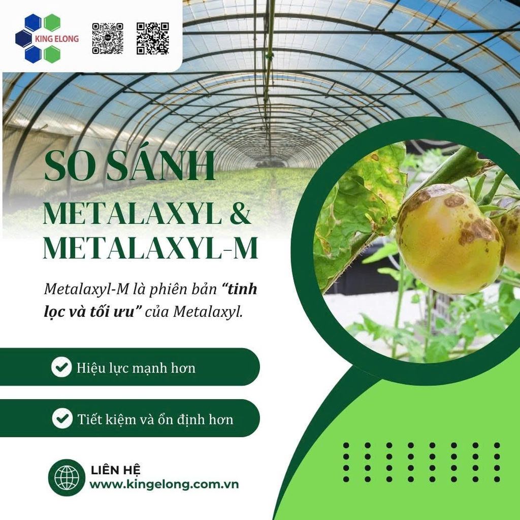 So Sánh Metalaxyl & Metalaxyl-M (Mefenoxam) – Khác Nhau Ở Đâu?