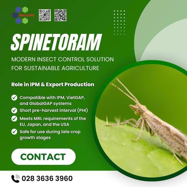 Spinetoram – A Modern Insect Control Solution For Sustainable Agriculture